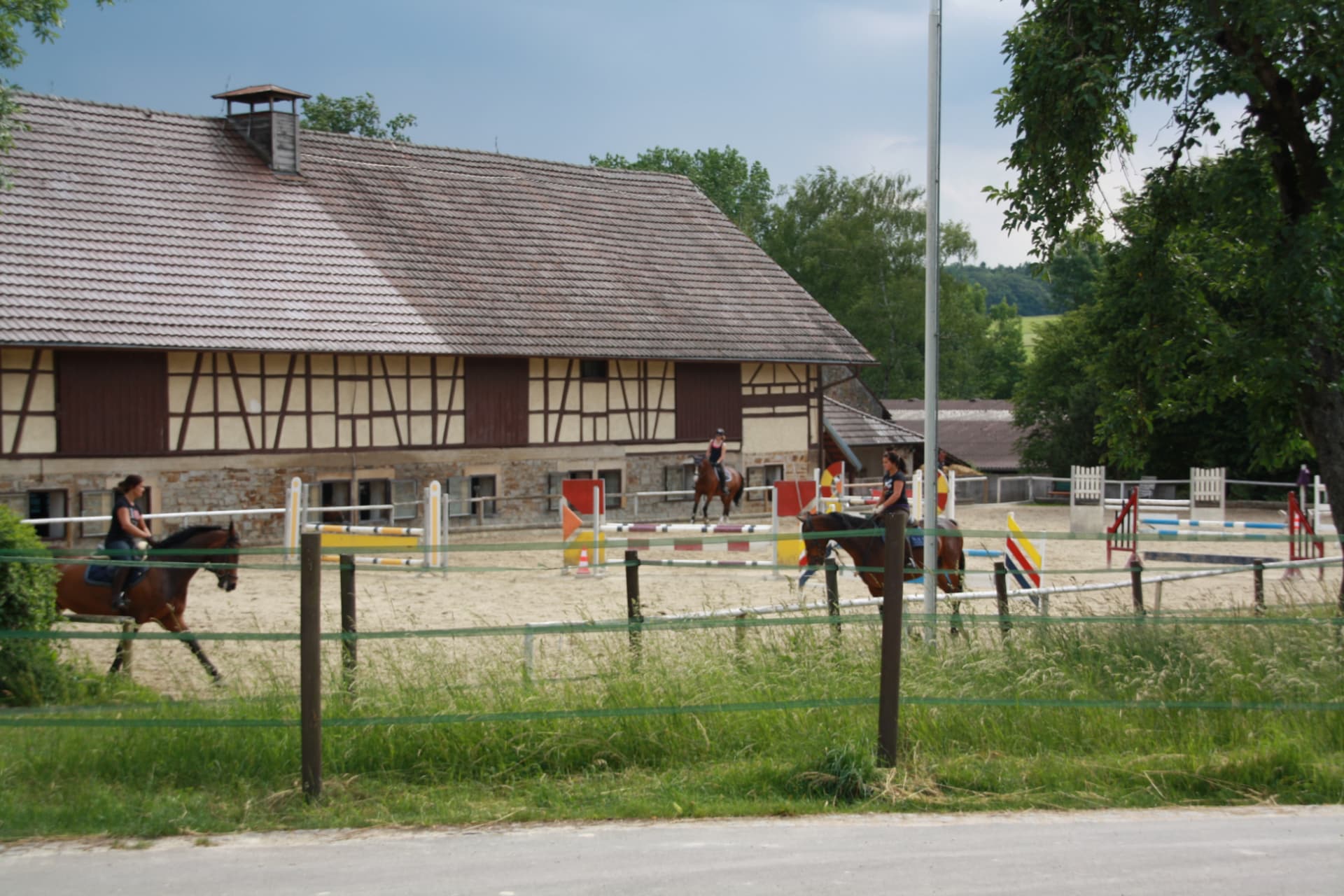 Reiterinnen und Reiter auf dem Sand-Außenplatz