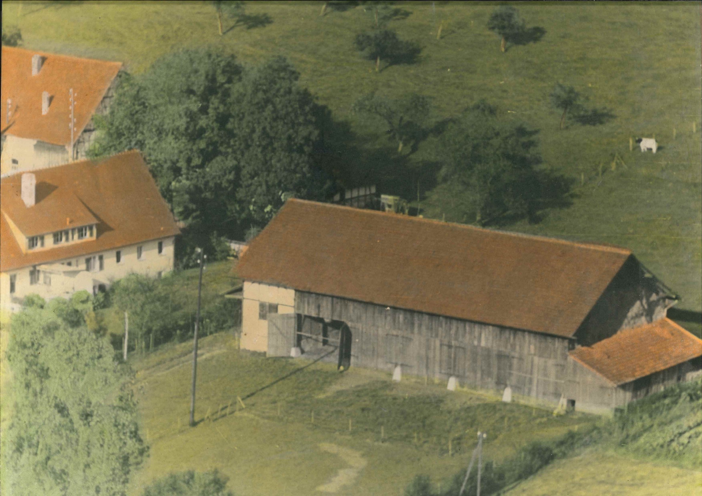 Kolorierte Luftaufnahme des Hofguts um 1960 mit Scheune, Wohngebäuden und Wiesen