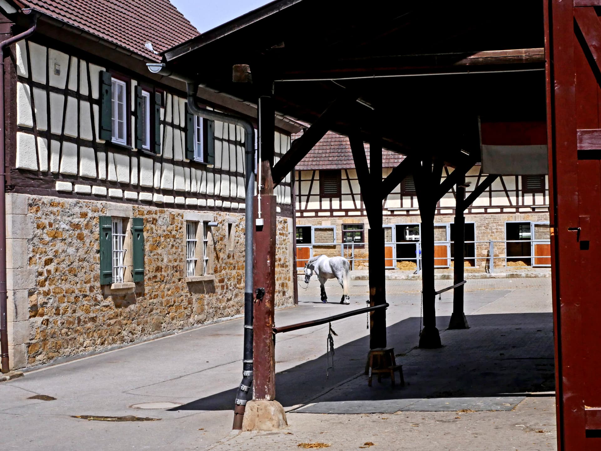 Blick aus einem Holzunterstand auf den Hof mit einem Schimmel
