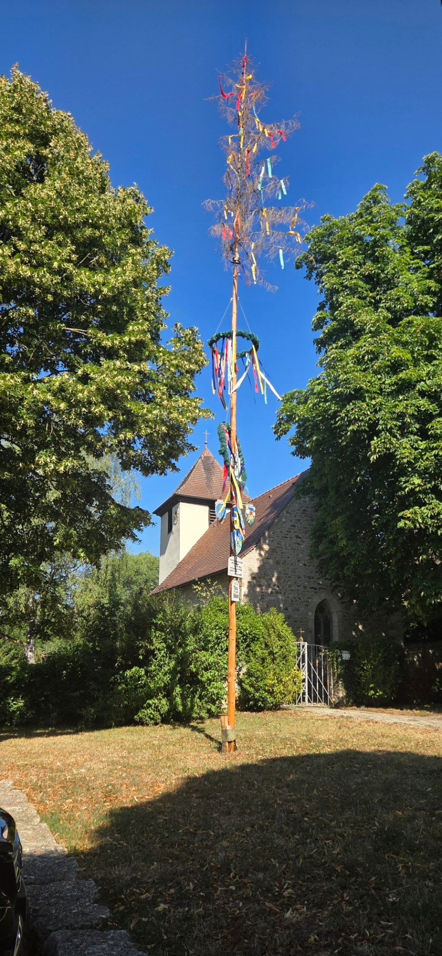 Mit Kränzen, Bändern und Wappenschildern geschmückter Maibaum vor der Natursteinkirche unter blauem Himmel