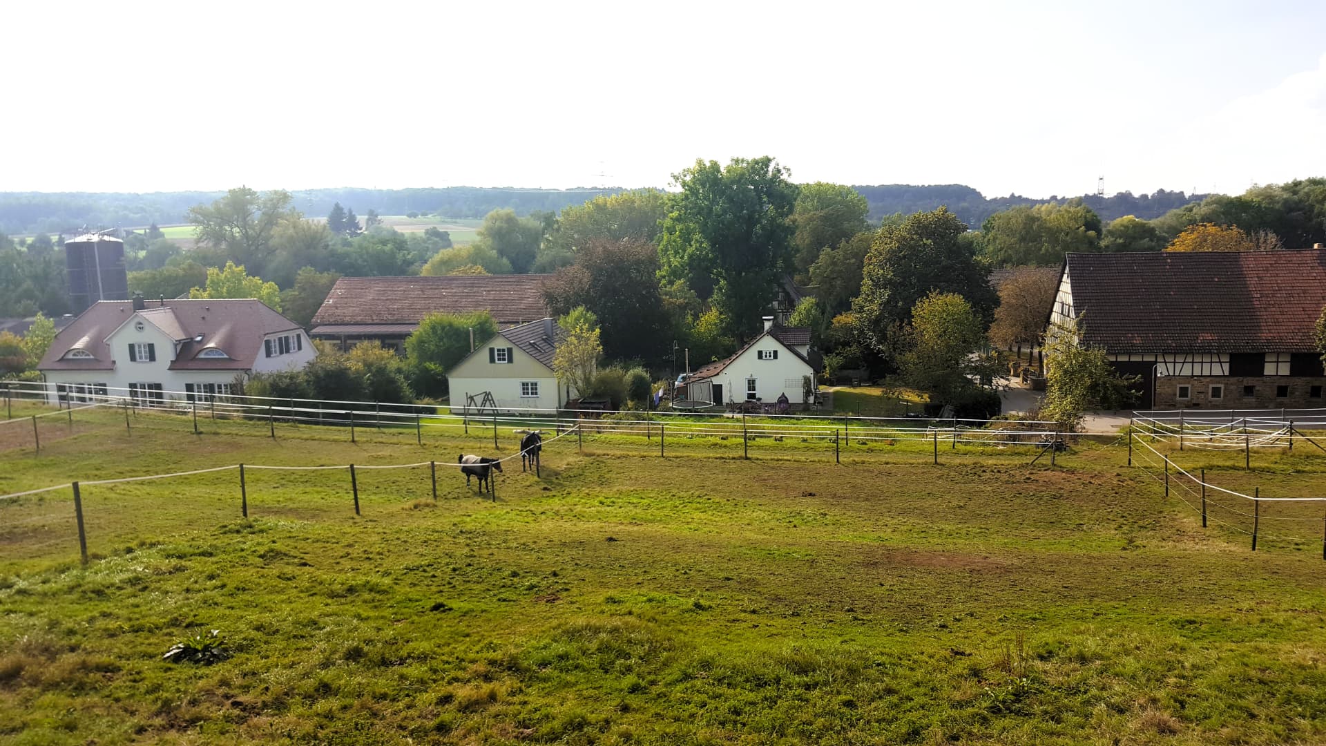 Blick von einer eingezäunten Pferdekoppel mit zwei Pferden über die Hof- und Dorfgebäude bis zu Feldern und Wald am Horizont