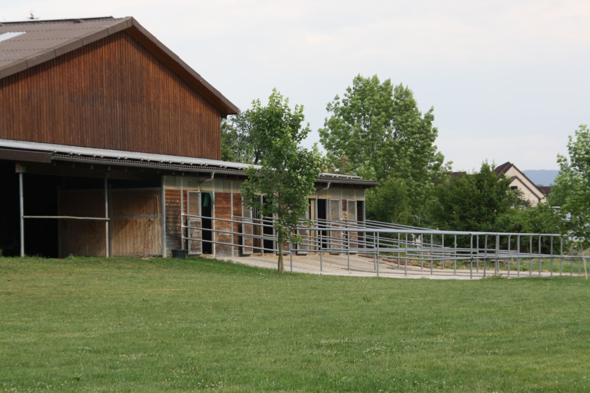 Offenstall mit Auslauf und Paddock