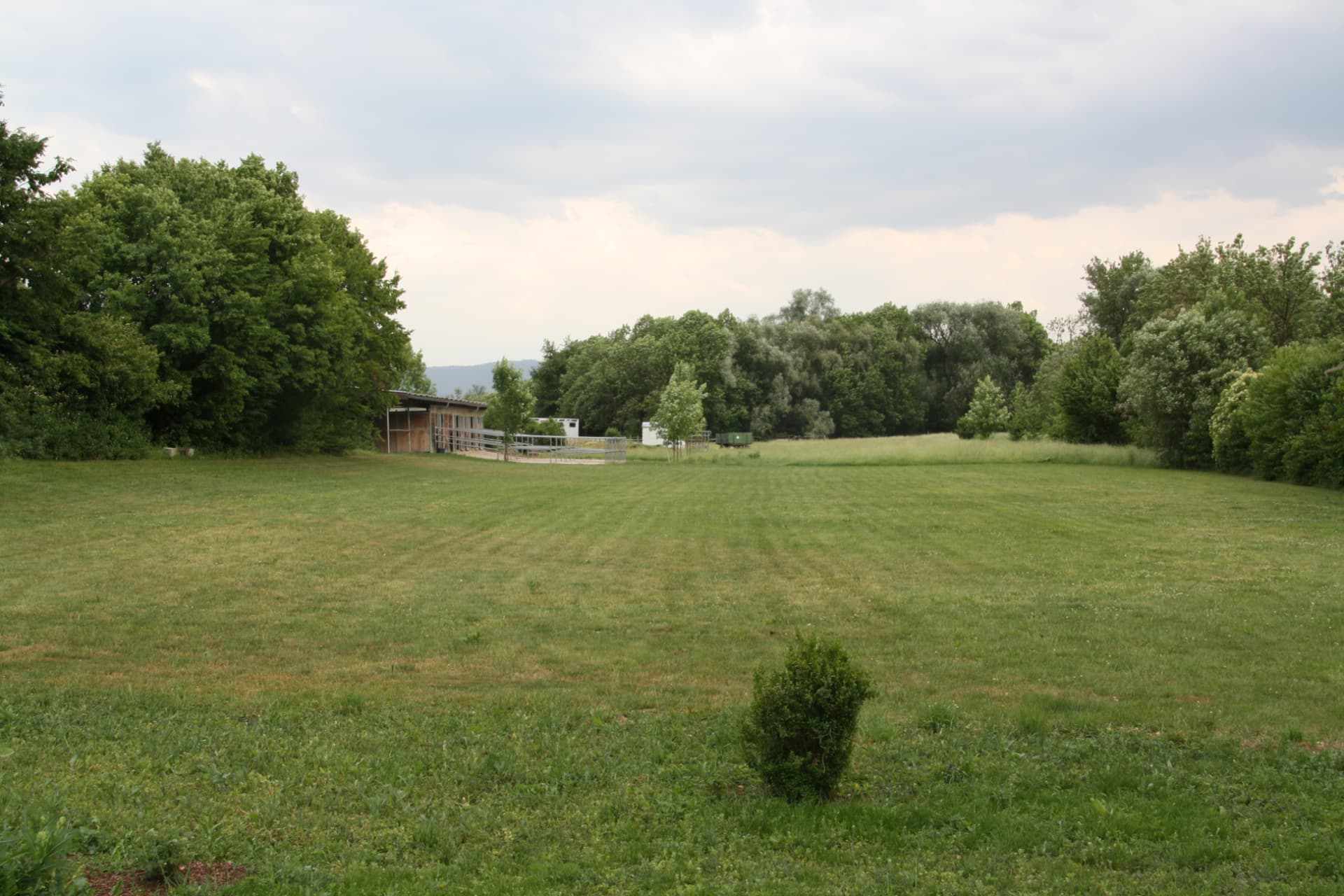Rasen-Springplatz im Sommer als gemähte grüne Fläche mit Stallgebäude und Bäumen