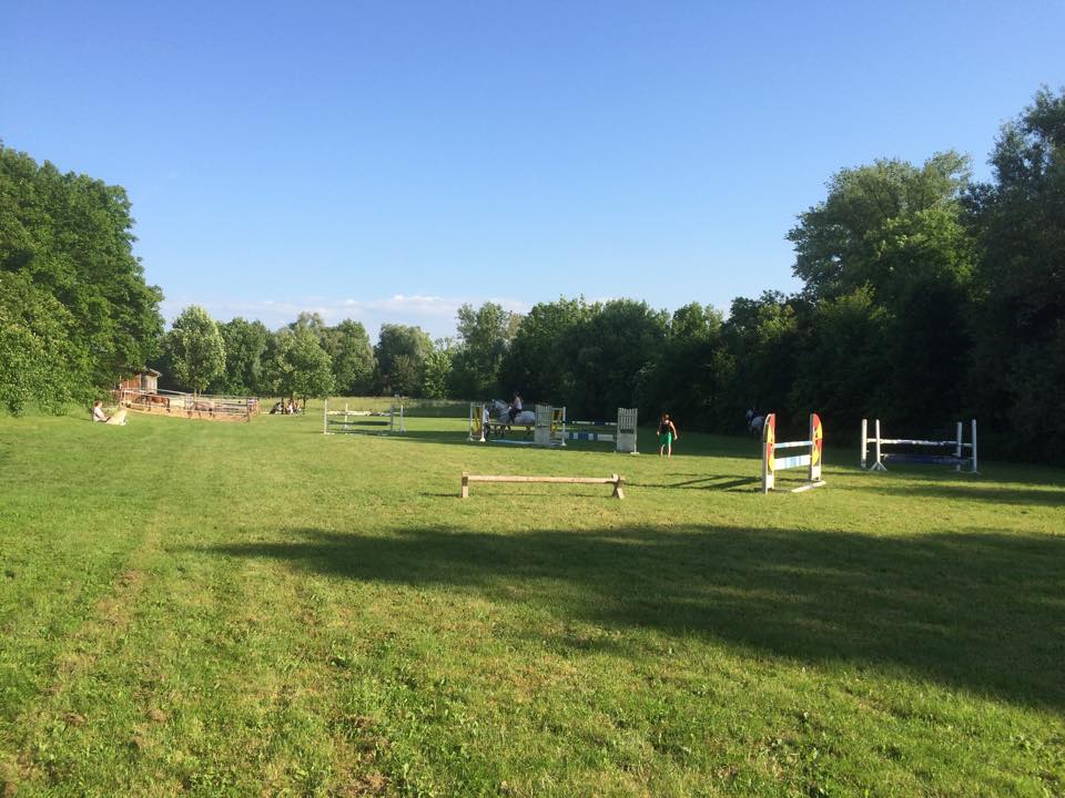 Rasen-Springplatz mit Springhindernissen