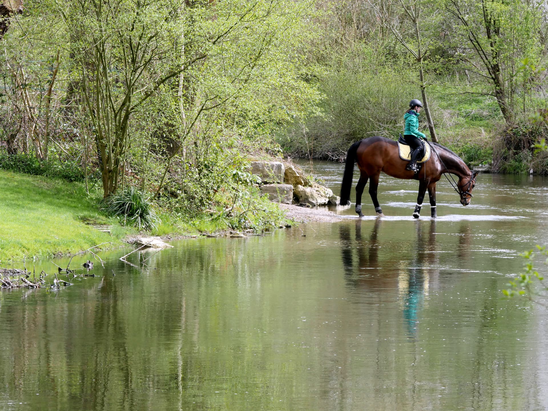 Reiterin mit Pferd im Wasser der Lauter