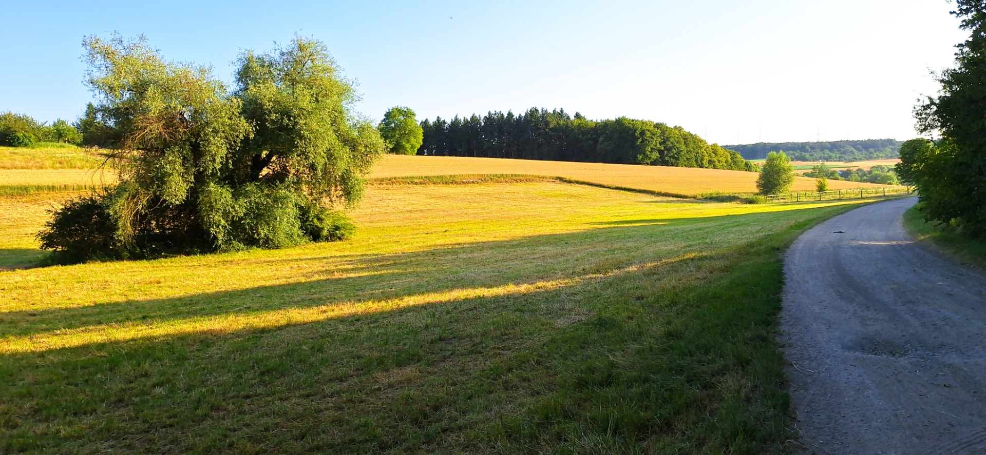 Feldweg zwischen Getreidefeldern mit Waldsaum auf der Höhe im Sommer