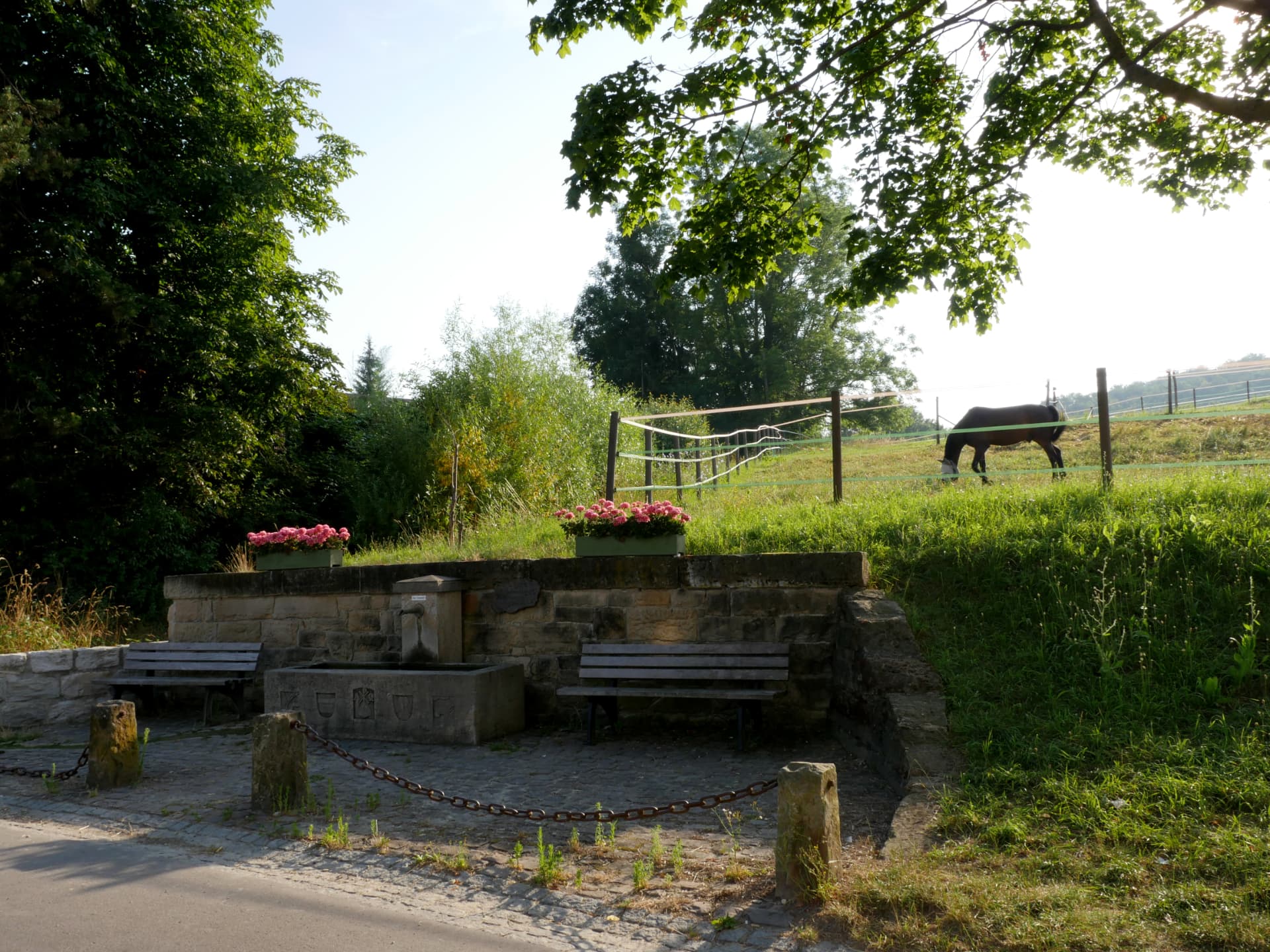 Jakobsbrunnen mit Bänken, davor eine Koppel mit grasendem Pferd